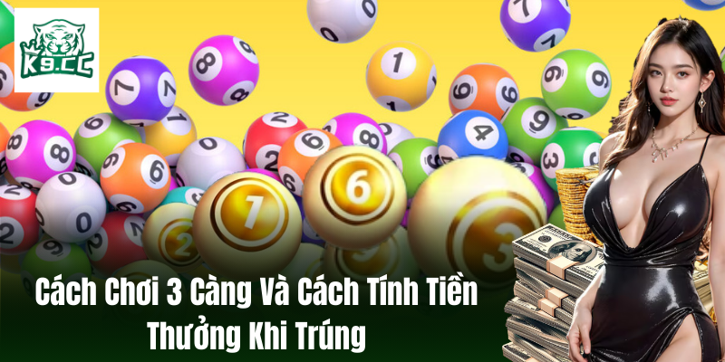 Xem xét các số liệu thống kê và tỷ lệ trúng 3 càng