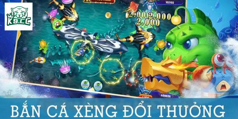 Bí kíp săn cá hiệu quả được chuyên gia chia sẻ