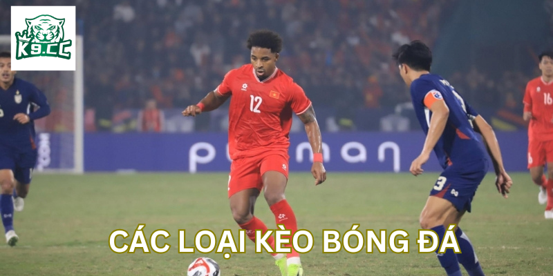 Các Loại Kèo Bóng Đá có gì hot? 