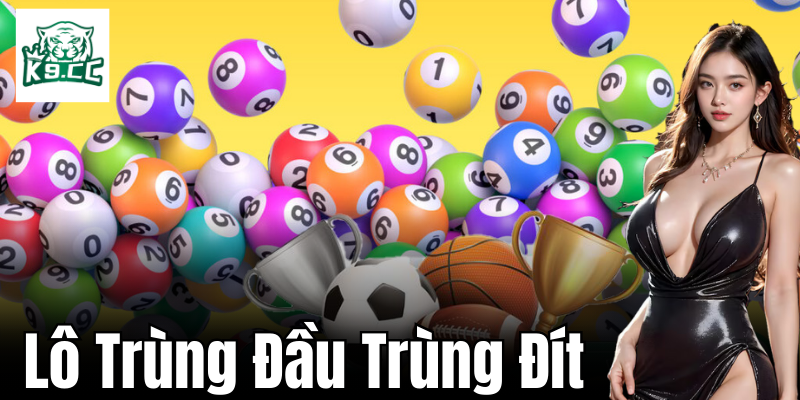 Phân tích lô trùng đầu đít: Nguyên nhân và xác suất