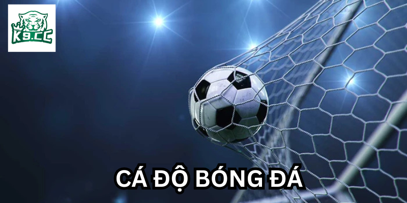 Bí quyết soi kèo Cá Độ Bóng Đá