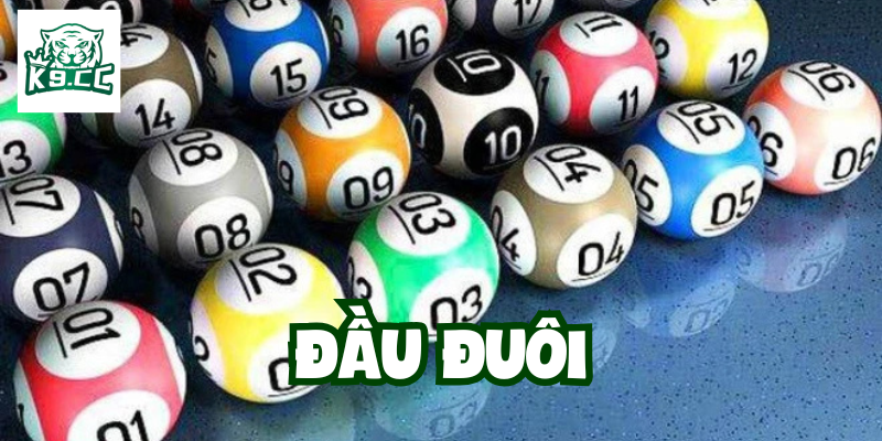 Đầu Đuôi là gì?